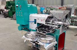 全自動榨油機多少錢