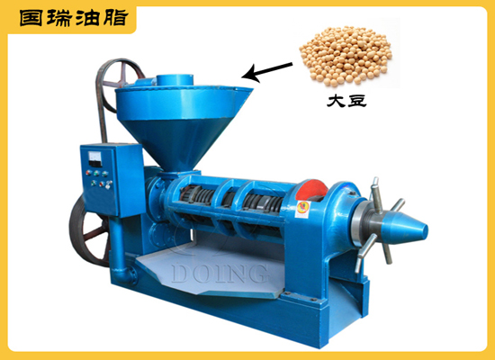 大豆榨油機榨100斤大豆能出多少油?