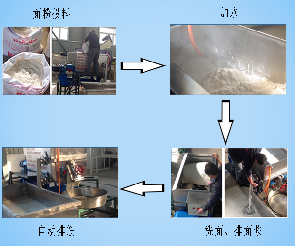 雙螺旋洗面筋機工作流程