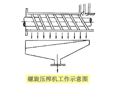 榨油機設備